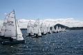 2000 fleet race start upwind